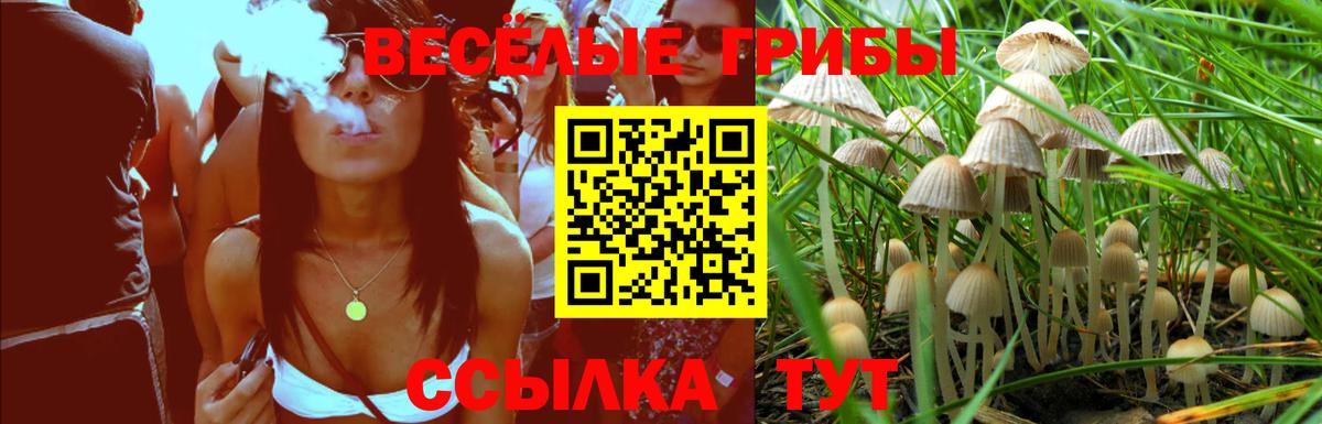 Гурьевск  Галлюциногенные грибы прущие грибы  Вход с VPN  Псилоцибиновые грибы GOLDEN TEACHER 